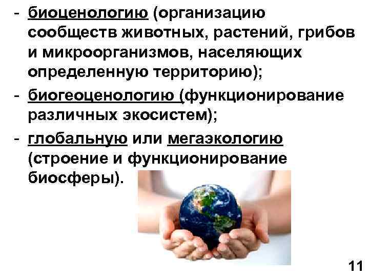 - биоценологию (организацию сообществ животных, растений, грибов и микроорганизмов, населяющих определенную территорию); - биогеоценологию