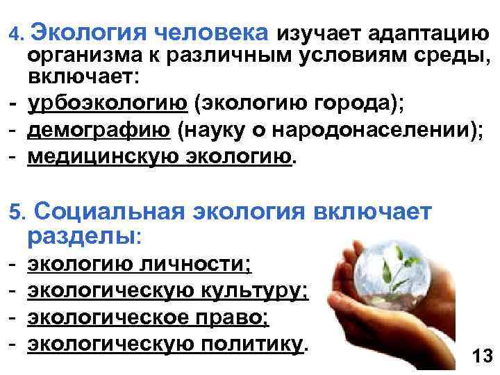 4. Экология человека изучает адаптацию организма к различным условиям среды, включает: - урбоэкологию (экологию
