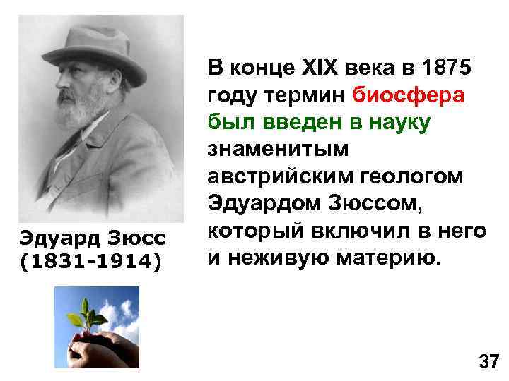 Эдуард Зюсс (1831 -1914) В конце XIX века в 1875 году термин биосфера был