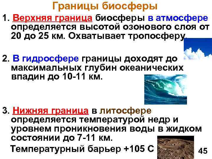  Границы биосферы 1. Верхняя граница биосферы в атмосфере определяется высотой озонового слоя от