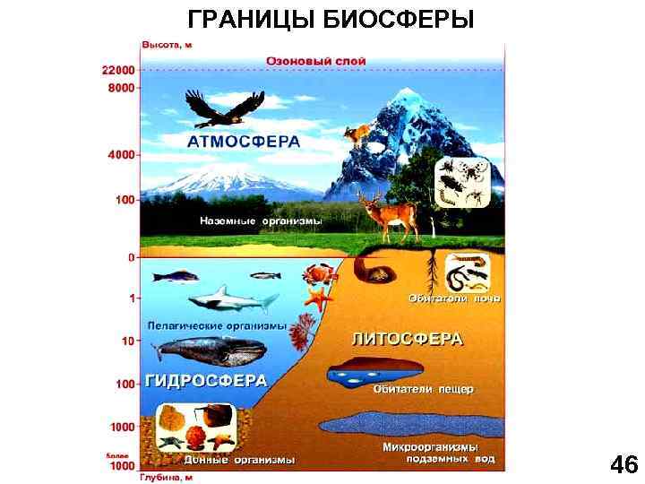 Схема границы биосферы покажите штриховкой область земли в которой существует жизнь 6 класс