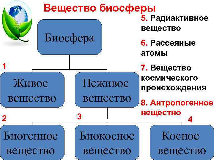 Вещество биосферы Биосфера 1 Живое вещество Неживое вещество 2 3 Биогенное вещество Биокосное вещество