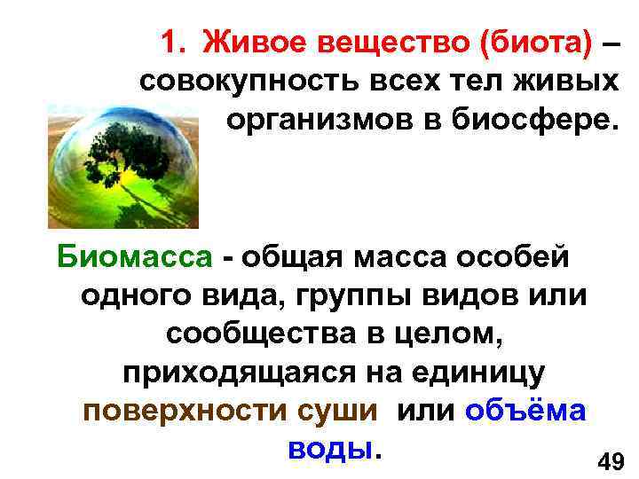 1. Живое вещество (биота) – совокупность всех тел живых организмов в биосфере. Биомасса -