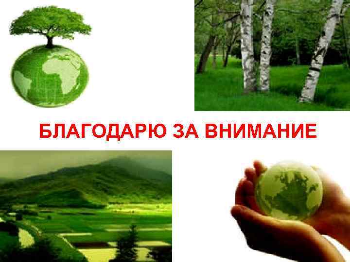 БЛАГОДАРЮ ЗА ВНИМАНИЕ 