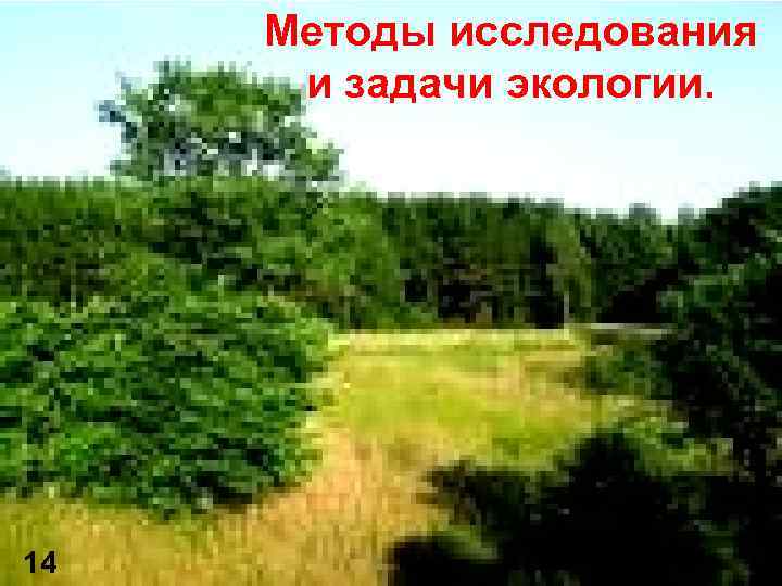 Методы исследования и задачи экологии. 14 