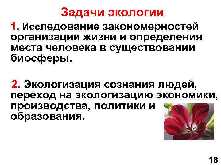  Задачи экологии 1. Исследование закономерностей организации жизни и определения места человека в существовании