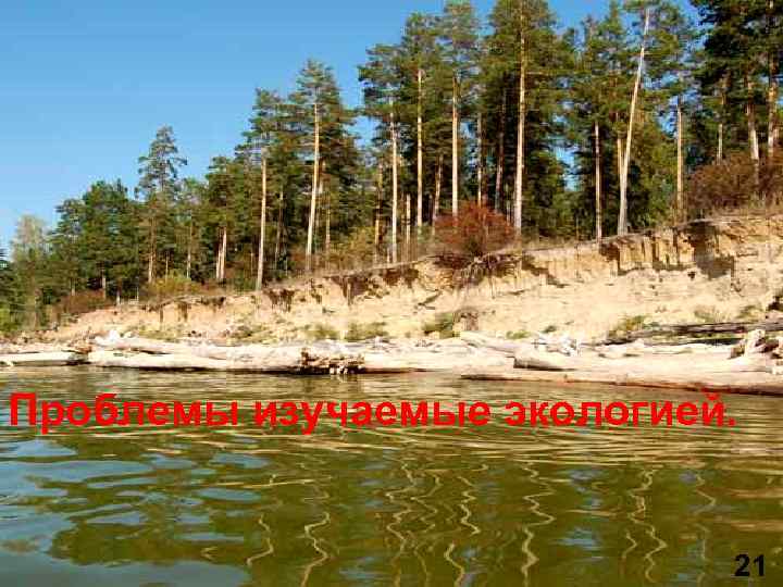 Проблемы изучаемые экологией. 21 