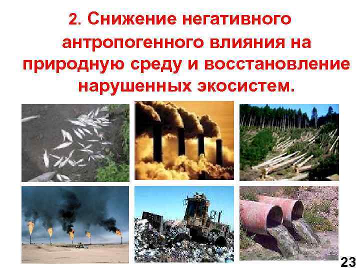 2. Снижение негативного антропогенного влияния на природную среду и восстановление нарушенных экосистем. 23 