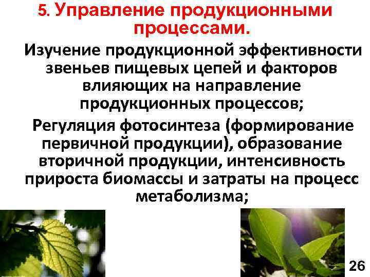 5. Управление продукционными процессами. Изучение продукционной эффективности звеньев пищевых цепей и факторов влияющих на