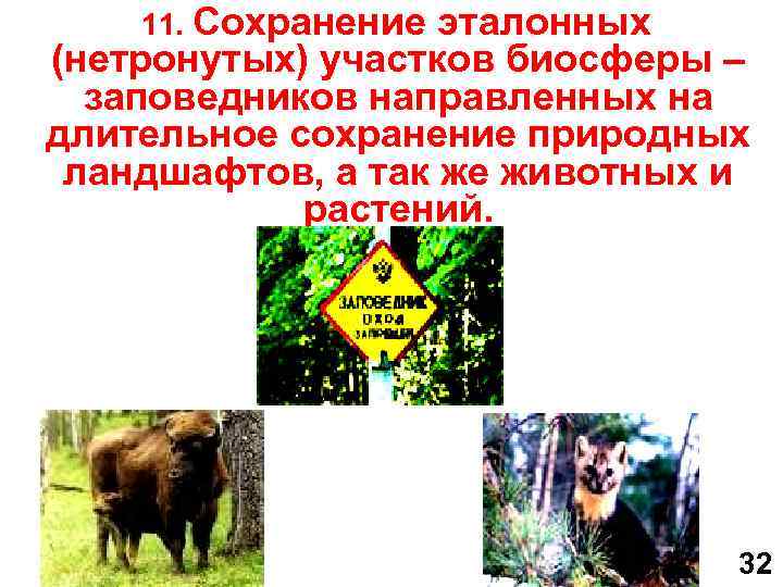  11. Сохранение эталонных (нетронутых) участков биосферы – заповедников направленных на длительное сохранение природных