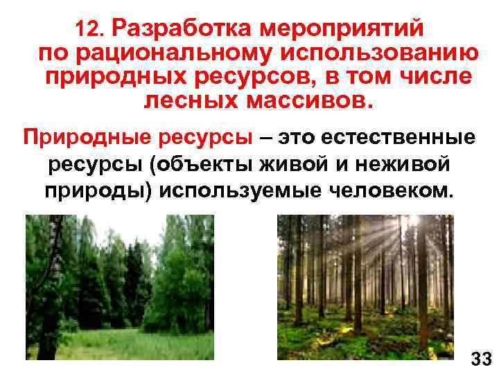 12. Разработка мероприятий по рациональному использованию природных ресурсов, в том числе лесных массивов. Природные