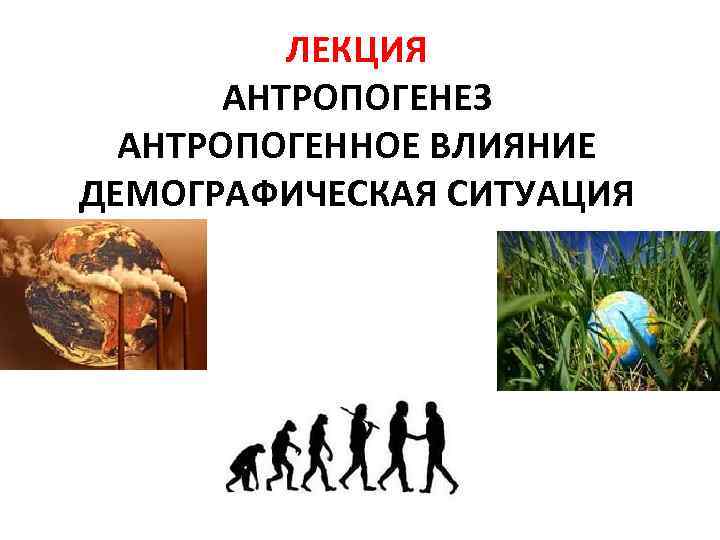 ЛЕКЦИЯ АНТРОПОГЕНЕЗ АНТРОПОГЕННОЕ ВЛИЯНИЕ ДЕМОГРАФИЧЕСКАЯ СИТУАЦИЯ 