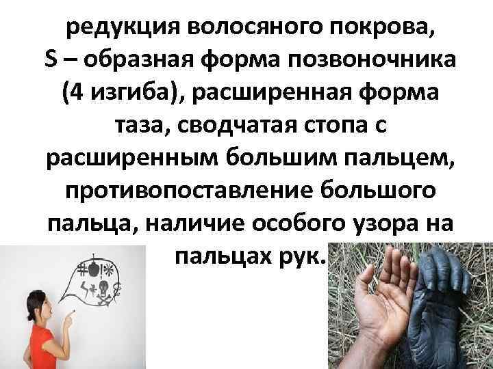 редукция волосяного покрова, S – образная форма позвоночника (4 изгиба), расширенная форма таза, сводчатая