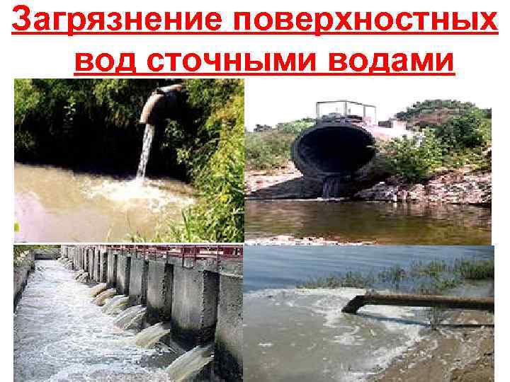 Загрязнение поверхностных вод сточными водами 