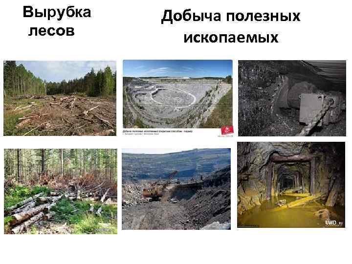 Вырубка лесов Добыча полезных ископаемых 
