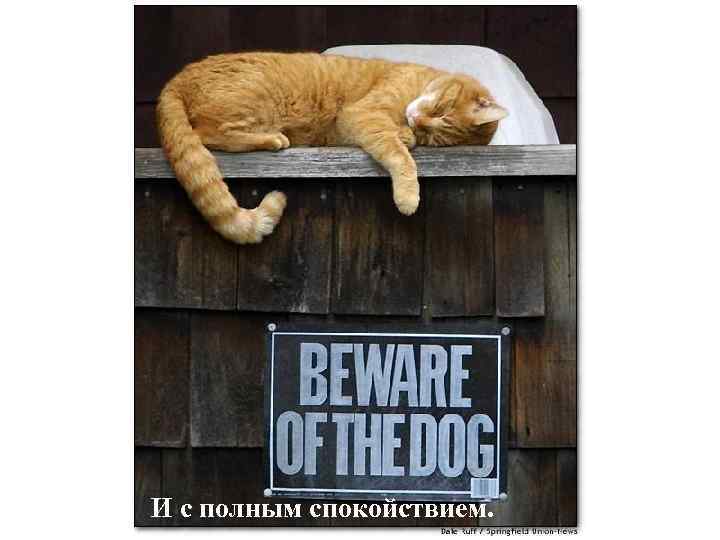 И с полным спокойствием. 