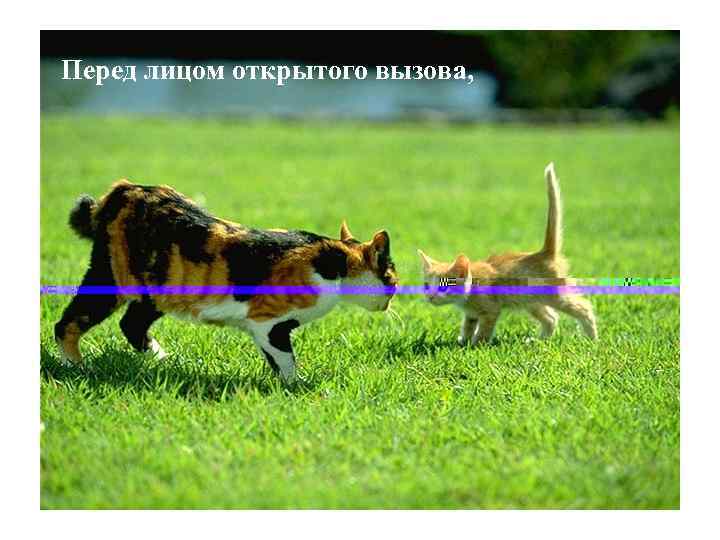 Перед лицом открытого вызова, 