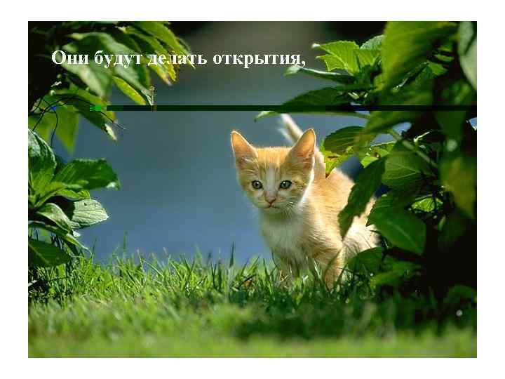 Они будут делать открытия, 