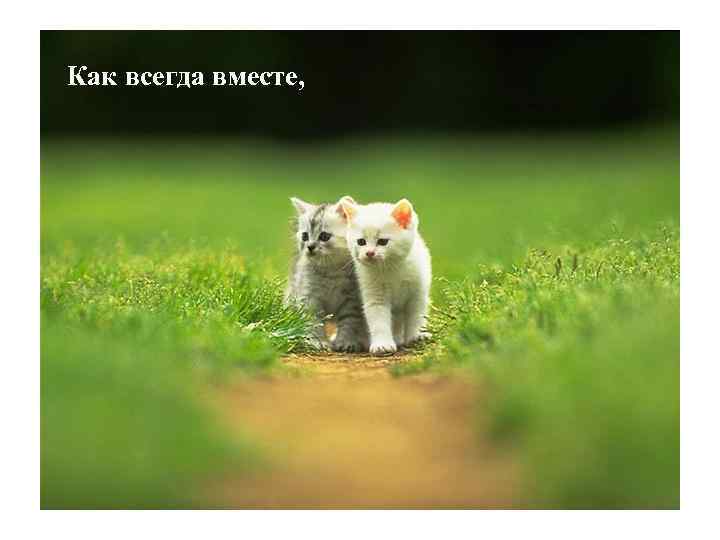 Как всегда вместе, 
