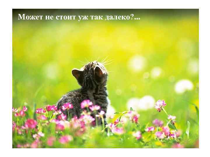 Может не стоит уж так далеко? . . . 