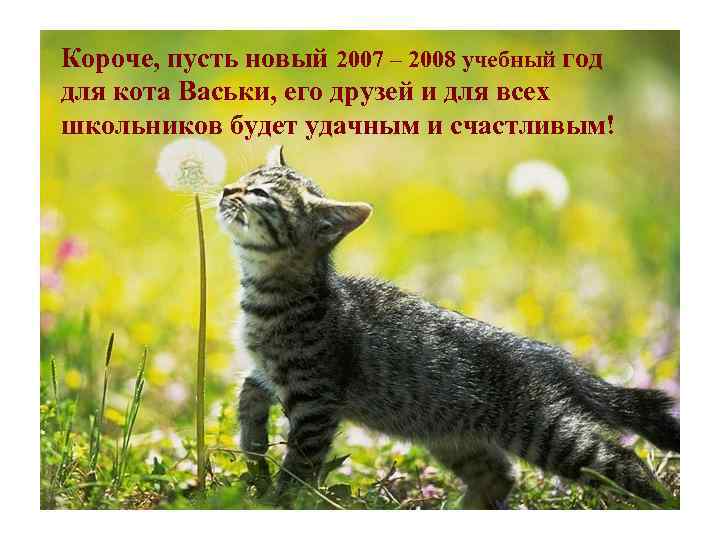 Короче, пусть новый 2007 – 2008 учебный год для кота Васьки, его друзей и