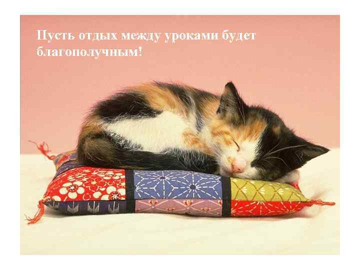Пусть отдых между уроками будет благополучным! 