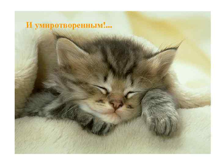 И умиротворенным!. . . 