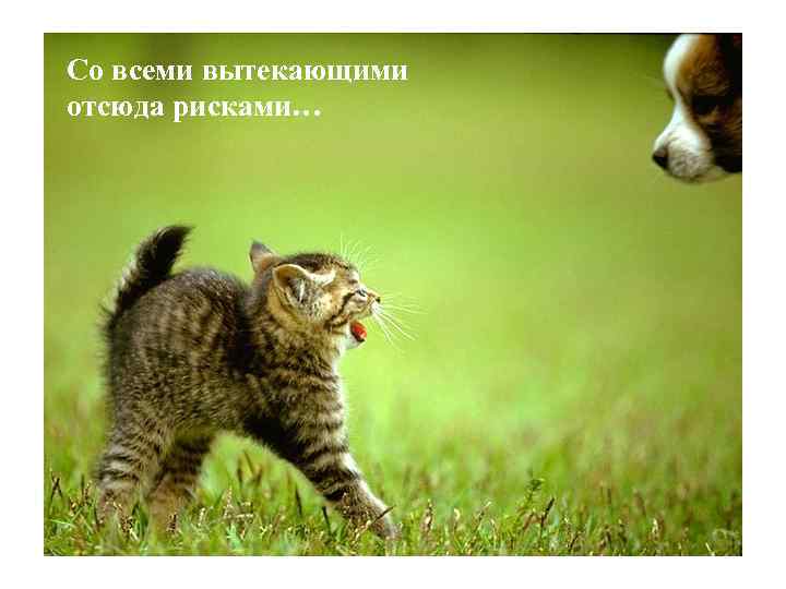 Со всеми вытекающими отсюда рисками… 