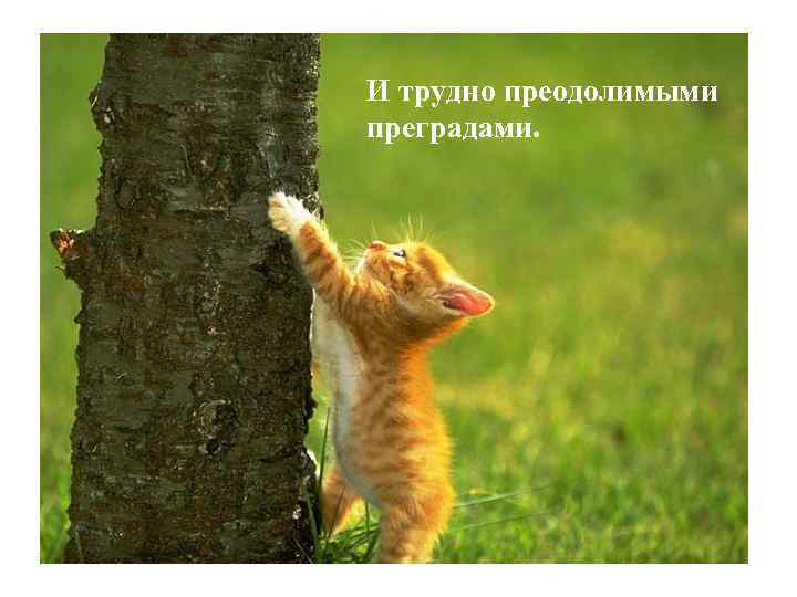 И трудно преодолимыми преградами. 