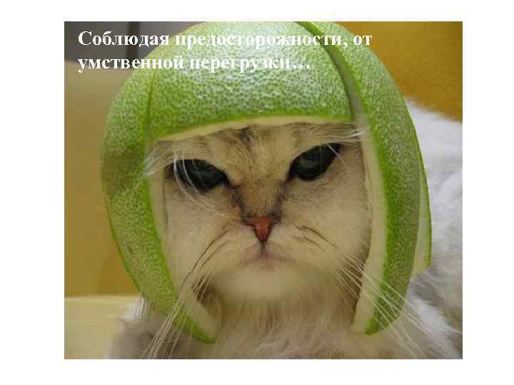 Соблюдая предосторожности, от умственной перегрузки… 