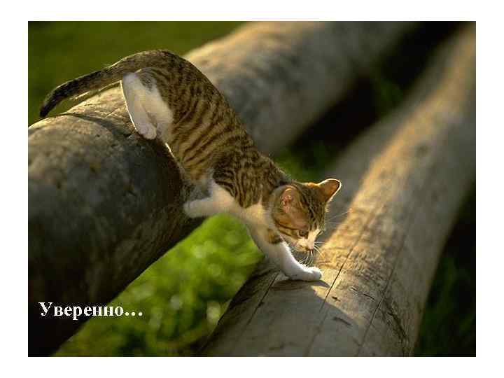 Уверенно… 