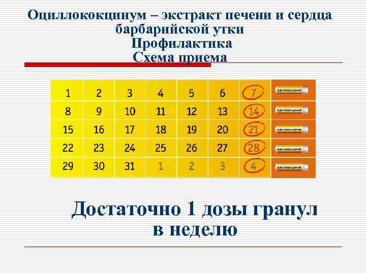 Оциллококцинум – экстракт печени и сердца барбарийской утки Профилактика Схема приема Достаточно 1 дозы