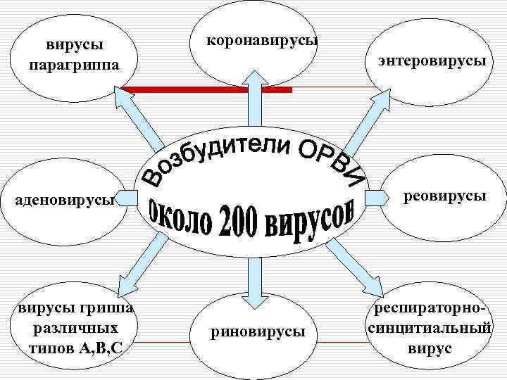 вирусы парагриппа коронавирусы энтеровирусы реовирусы аденовирусы гриппа различных типов А, В, С риновирусы респираторносинцитиальный