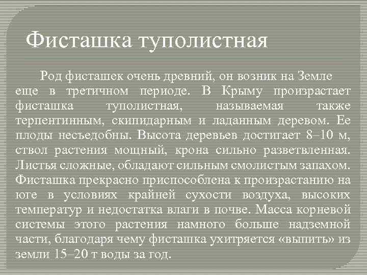 Фисташка туполистная Род фисташек очень древний, он возник на Земле еще в третичном периоде.