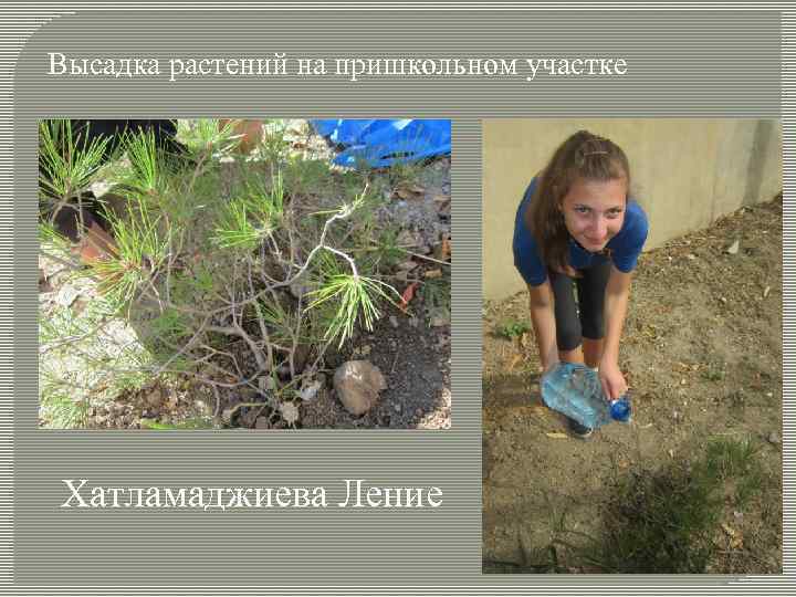 Высадка растений на пришкольном участке Хатламаджиева Ление 