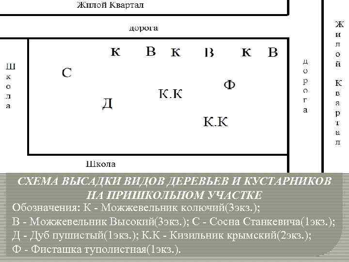 СХЕМА ВЫСАДКИ ВИДОВ ДЕРЕВЬЕВ И КУСТАРНИКОВ НА ПРИШКОЛЬНОМ УЧАСТКЕ Обозначения: К - Можжевельник колючий(3