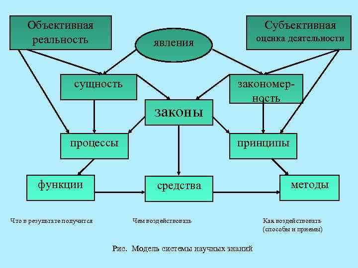 Область человеческой деятельности отвечающая за формирование объективной картины мира