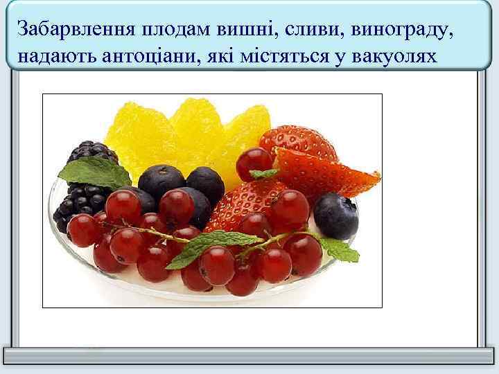 Забарвлення плодам вишні, сливи, винограду, надають антоціани, які містяться у вакуолях 