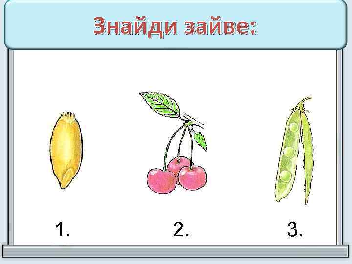 Знайди зайве: 1. 2. 3. 