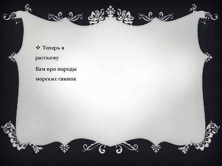 v Теперь я расскажу Вам про породы морских свинок 