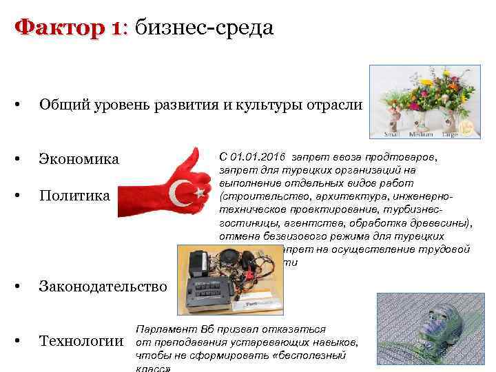 Фактор 1: бизнес-среда : • Общий уровень развития и культуры отрасли • Экономика •