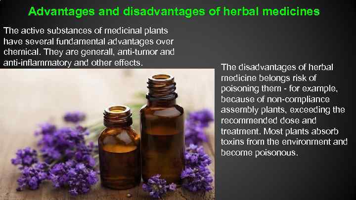 Advantages and disadvantages of herbal medicines The active substances of medicinal plants have several