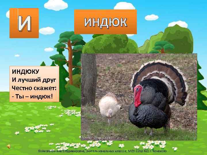 И ИНДЮКУ И лучший друг Честно скажет: - Ты – индюк! Бойкова Оксана Владимировна,