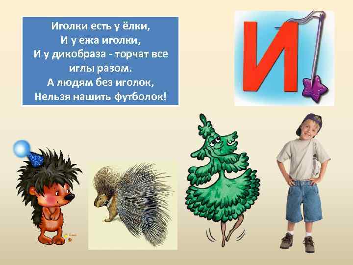 Иголки есть у ёлки, И у ежа иголки, И у дикобраза - торчат все