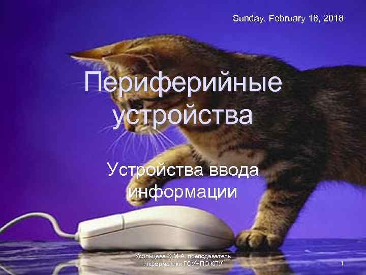 Sunday, February 18, 2018 Периферийные устройства Устройства ввода информации Усольцева Э. М-А. преподаватель информатики