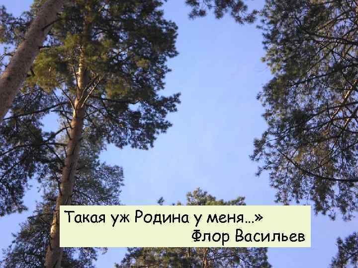  «Наши сосны Высокие самые, Наши ягоды Сладкие самые, Наши люди Добрые самые. Такая