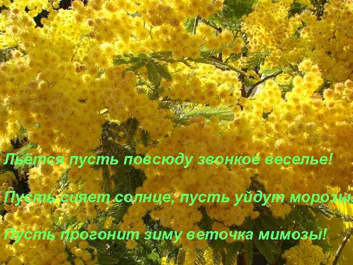 Льётся пусть повсюду звонкое веселье! Пусть сияет солнце, пусть уйдут морозы! Пусть прогонит зиму