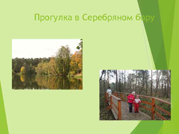 Прогулка в Серебряном бору 