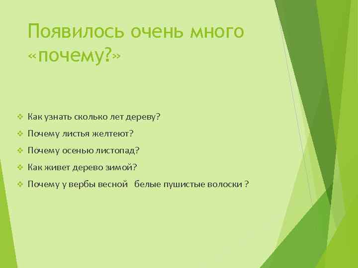 Появилось очень много «почему? » v Как узнать сколько лет дереву? v Почему листья
