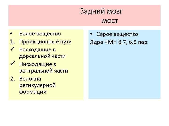 Задний мозг мост • Белое вещество 1. Проекционные пути ü Восходящие в дорсальной части